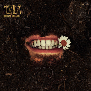 Hozier album art